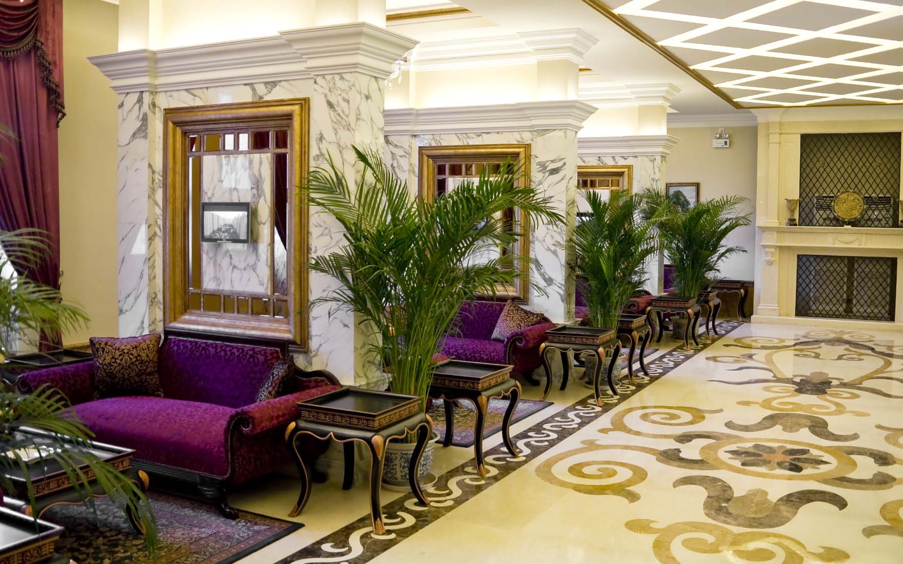 Rośliny do lobby - palma Areka